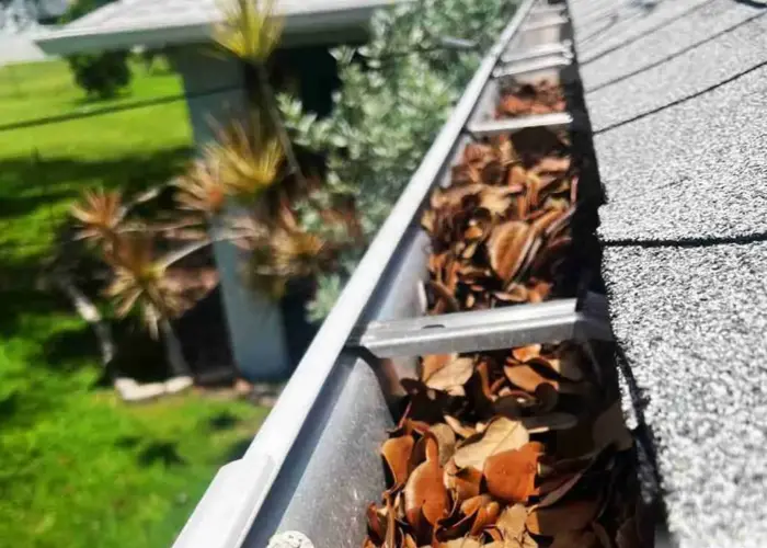 Cedar Park gutter cleaning home page